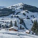 Buchegg Alm 公寓 *