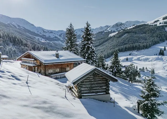 Buchegg Alm * Saalbach-Hinterglemm